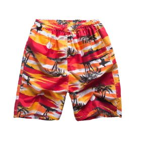 Summer Men Beach Shorts Boardshort Shorts Swim Trunks for Travel, #02