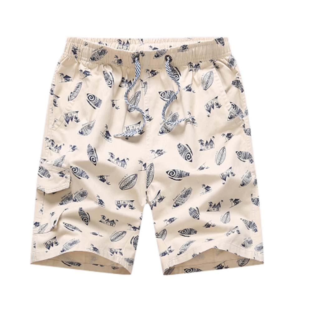 Cotton Shorts Casual Shorts Board Shorts Travel Beach Shorts for Men, C